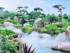 -罗红摄影艺术馆