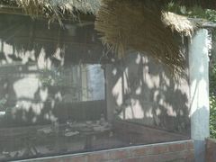 -邱家老字号炒鸡店