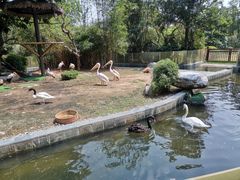 -熊猫自助餐厅.萌趣城堡(长隆熊猫酒店)