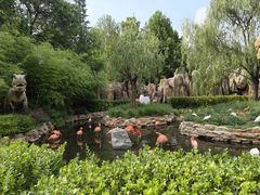 -北京野生动物园