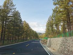 -塞罕坝国家级自然保护区