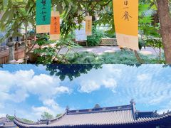 -灵谷景区