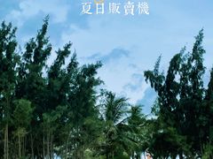 -海南清水湾莱佛士酒店