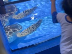 -欢乐海岸海洋奇梦馆