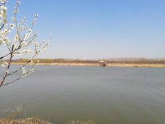 -西青郊野公园