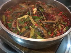 -乐氏荤豆花