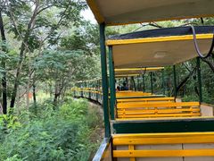 -南戴河国际娱乐中心