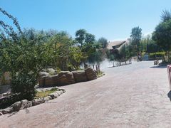 -嘉峪关方特丝路神画