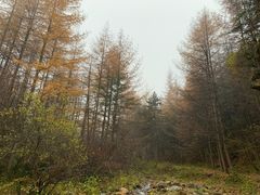 -秦岭风景区
