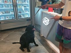 -DQ·蛋糕·冰淇淋(龙茗店)