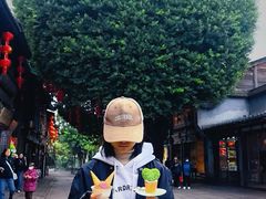 -三坊七巷历史文化街区