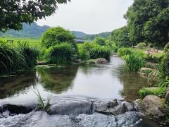 -中国茶叶博物馆(双峰馆区)