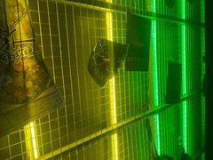 -暗楼·剧本杀·桌游