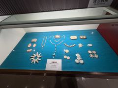 -青岛贝壳博物馆
