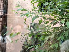 -青藏高原野生动物园