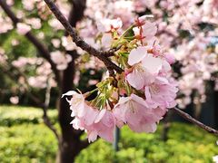 -静安雕塑公园