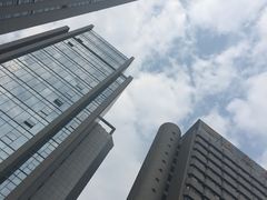 -安徽饭店·白鹭阁自助餐厅(梅山路店)