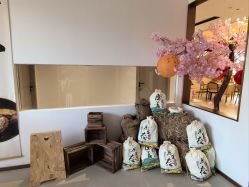-侒悦缦月子中心·疗愈园区(龙岗店)