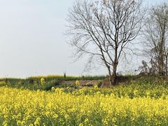 -两河城市森林公园