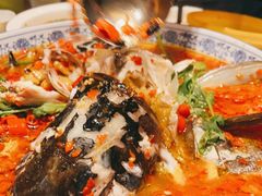 -湘潭九龙鱼头店(城南西路店)