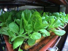 iphone_upload_pic-新竹里馆·花园餐厅(兴苑路店)