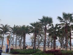 -大梅沙海滨公园