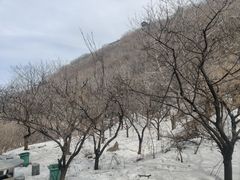 -凤凰欢乐谷