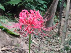 -福建鲤鱼洲酒店