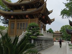 -上海东林寺(金山区)
