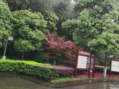 -邓小平故里
