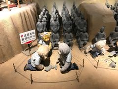 -成都泰迪熊博物馆