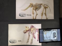 -甘肃省博物馆