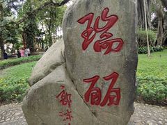 -瑞丽独树成林风景区