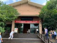 -溱湖国家湿地公园