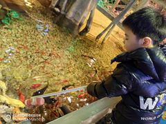 -洛阳龙门海洋馆