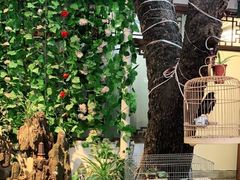 -丽江庭院·云南野生菌·海鲜火锅(鼓楼四合院店)
