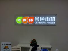 -金色雨林学习力培优(专注力提升)