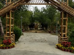 -揭东万竹园旅游景区