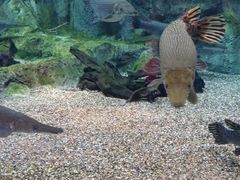 android_upload_pic-河川生态园