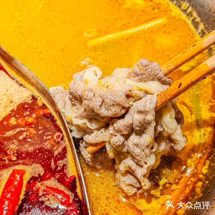 西安火锅党冲！跨半城挤爆熙地港，这熊猫店值哭