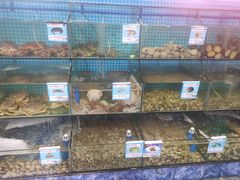 水产区-范饭椰林川湘味海鲜·椰子鸡(三亚湾椰梦长廊店)