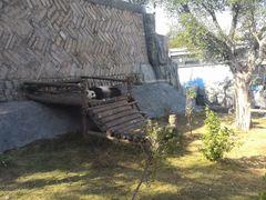 -泉州海丝野生动物世界