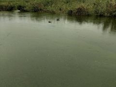 -前关湿地公园