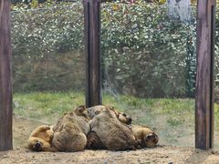 -茅山东方盐湖城景区