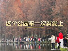 -重庆彩云湖湿地公园