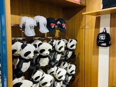 -熊猫屋(宽窄巷子景区店)