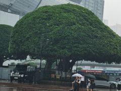 -观音桥步行街