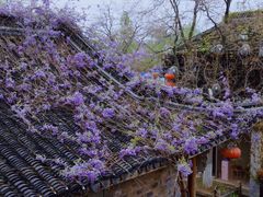 -老门东历史文化街区