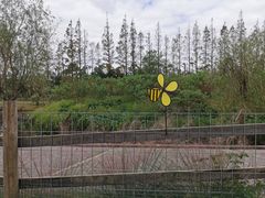 -前小桔亲子创意农场·草莓采摘·露营烧烤