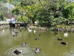 -黔灵山公园